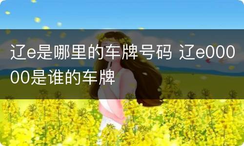 辽e是哪里的车牌号码 辽e00000是谁的车牌