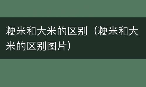 粳米和大米的区别（粳米和大米的区别图片）