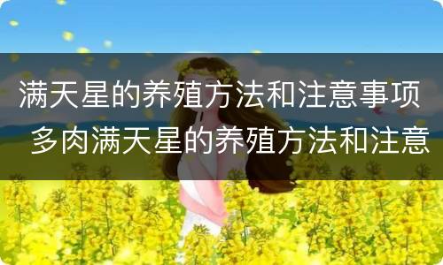 满天星的养殖方法和注意事项 多肉满天星的养殖方法和注意事项
