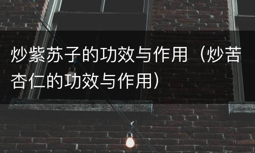 炒紫苏子的功效与作用（炒苦杏仁的功效与作用）