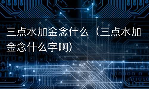 三点水加金念什么（三点水加金念什么字啊）