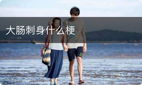 大肠刺身什么梗