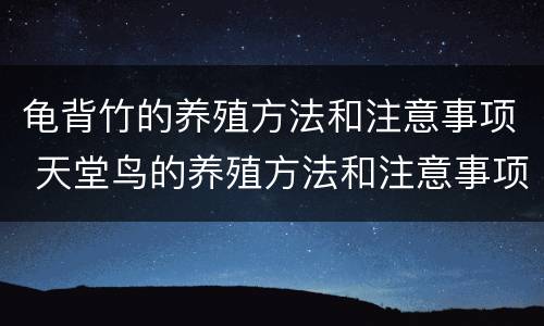 龟背竹的养殖方法和注意事项 天堂鸟的养殖方法和注意事项