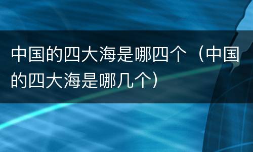 中国的四大海是哪四个（中国的四大海是哪几个）