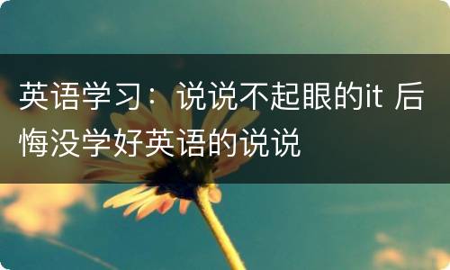 英语学习：说说不起眼的it 后悔没学好英语的说说