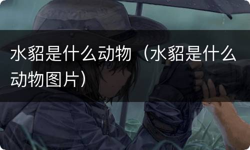 水貂是什么动物（水貂是什么动物图片）