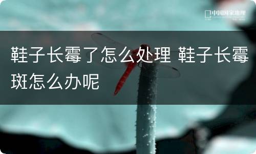 鞋子长霉了怎么处理 鞋子长霉斑怎么办呢