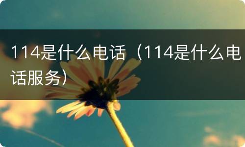 114是什么电话（114是什么电话服务）