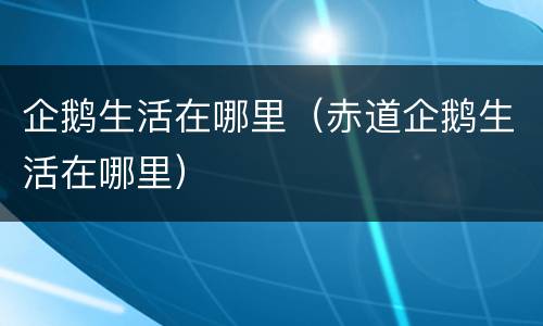 企鹅生活在哪里（赤道企鹅生活在哪里）