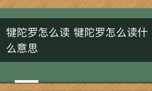 犍陀罗怎么读 犍陀罗怎么读什么意思