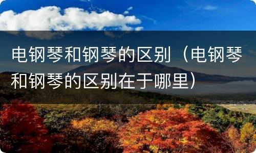 电钢琴和钢琴的区别（电钢琴和钢琴的区别在于哪里）