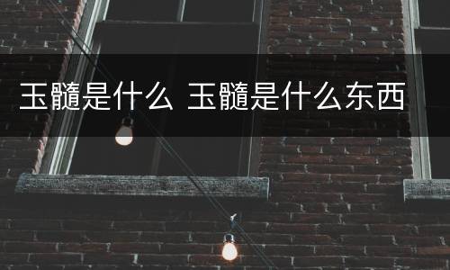 玉髓是什么 玉髓是什么东西