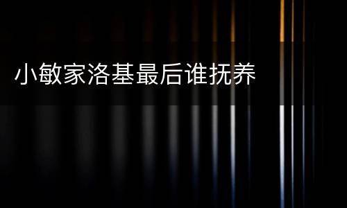 小敏家洛基最后谁抚养