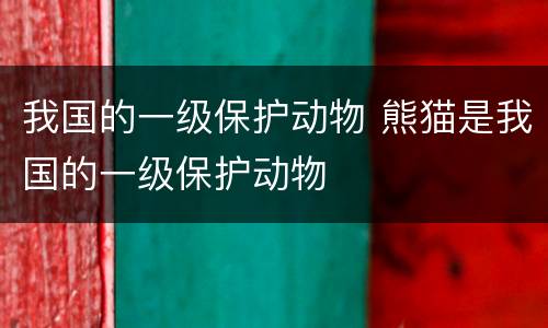我国的一级保护动物 熊猫是我国的一级保护动物