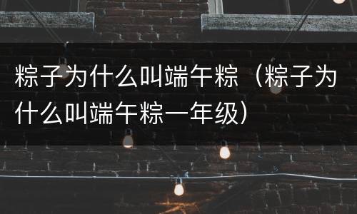 粽子为什么叫端午粽（粽子为什么叫端午粽一年级）