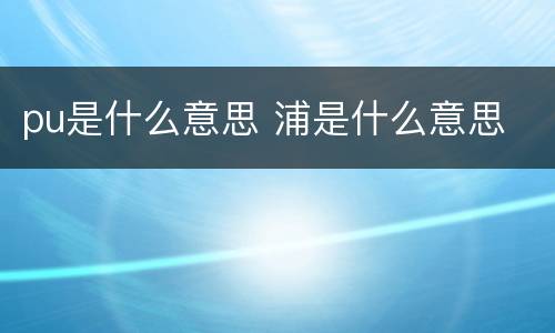 pu是什么意思 浦是什么意思