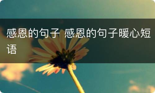 感恩的句子 感恩的句子暖心短语