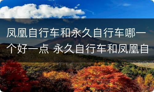 凤凰自行车和永久自行车哪一个好一点 永久自行车和凤凰自行车哪个质量好