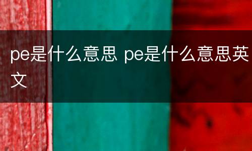 pe是什么意思 pe是什么意思英文