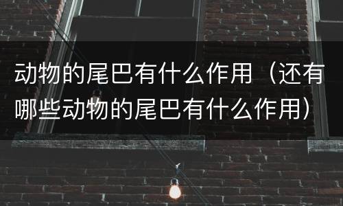 动物的尾巴有什么作用（还有哪些动物的尾巴有什么作用）