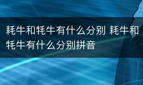 耗牛和牦牛有什么分别 耗牛和牦牛有什么分别拼音