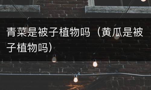 青菜是被子植物吗（黄瓜是被子植物吗）