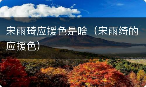 宋雨琦应援色是啥（宋雨绮的应援色）