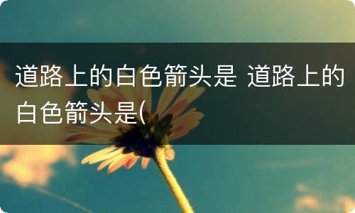 道路上的白色箭头是 道路上的白色箭头是(
