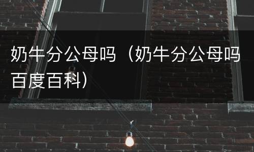 奶牛分公母吗（奶牛分公母吗百度百科）