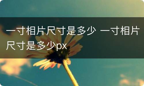 一寸相片尺寸是多少 一寸相片尺寸是多少px