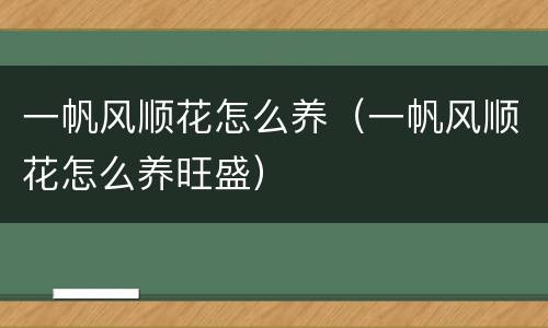 一帆风顺花怎么养（一帆风顺花怎么养旺盛）