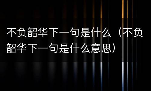 不负韶华下一句是什么（不负韶华下一句是什么意思）