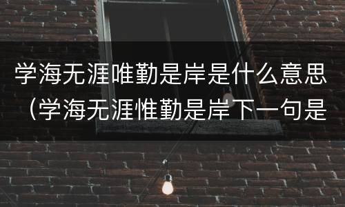 学海无涯唯勤是岸是什么意思（学海无涯惟勤是岸下一句是什么）