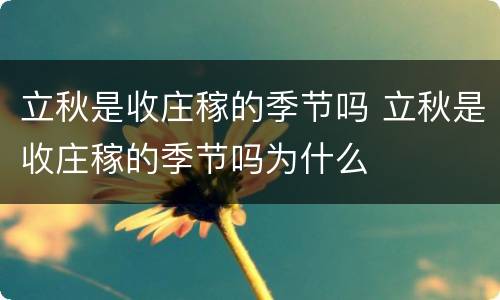 立秋是收庄稼的季节吗 立秋是收庄稼的季节吗为什么