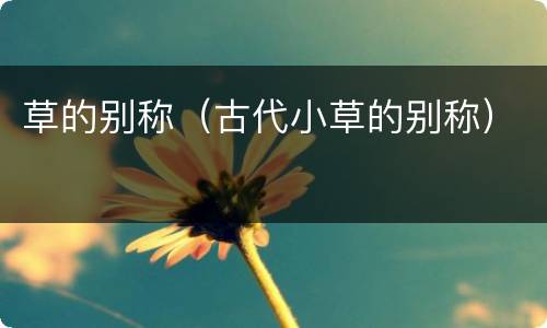 草的别称（古代小草的别称）