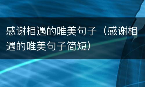 感谢相遇的唯美句子（感谢相遇的唯美句子简短）