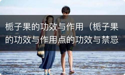 栀子果的功效与作用（栀子果的功效与作用点的功效与禁忌）
