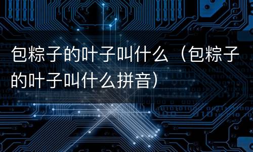 包粽子的叶子叫什么（包粽子的叶子叫什么拼音）