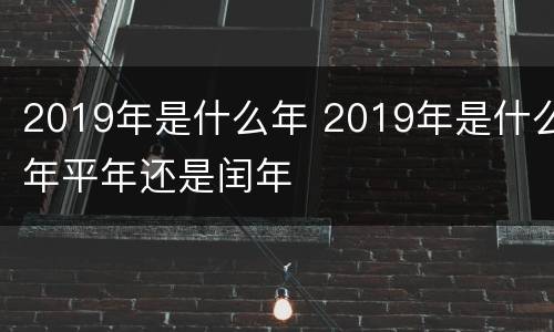 2019年是什么年 2019年是什么年平年还是闰年