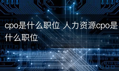 cpo是什么职位 人力资源cpo是什么职位
