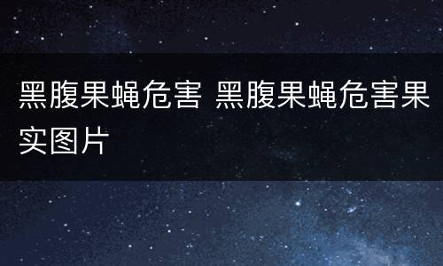 黑腹果蝇危害 黑腹果蝇危害果实图片