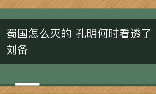 蜀国怎么灭的 孔明何时看透了刘备