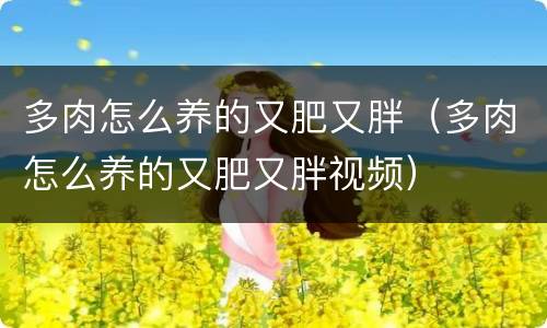 多肉怎么养的又肥又胖（多肉怎么养的又肥又胖视频）