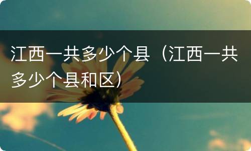 江西一共多少个县（江西一共多少个县和区）