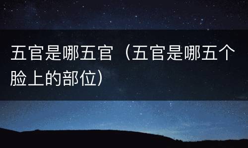 五官是哪五官（五官是哪五个脸上的部位）