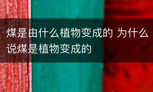 煤是由什么植物变成的 为什么说煤是植物变成的