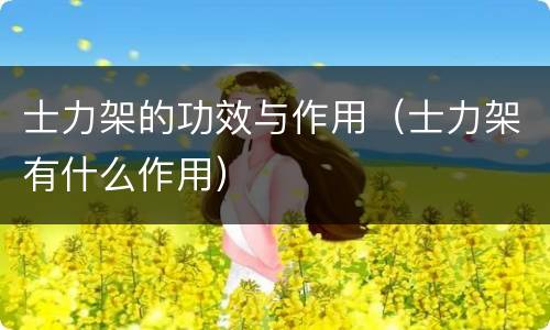 士力架的功效与作用（士力架有什么作用）