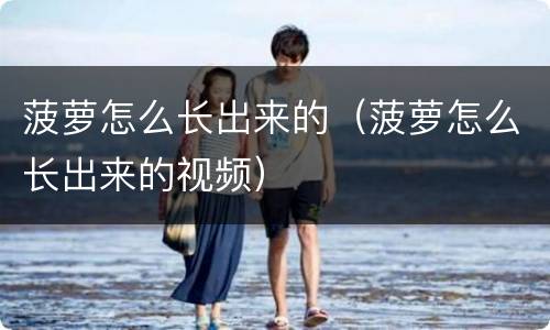 菠萝怎么长出来的（菠萝怎么长出来的视频）