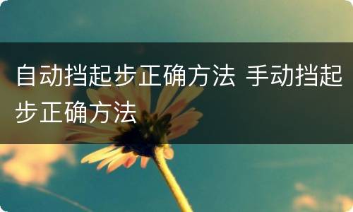 自动挡起步正确方法 手动挡起步正确方法