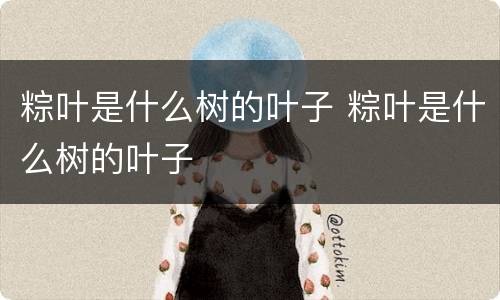 粽叶是什么树的叶子 粽叶是什么树的叶子